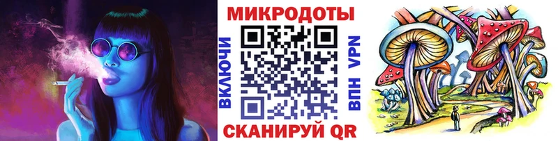 Псилоцибиновые грибы Psilocybe купить наркотик Кубинка