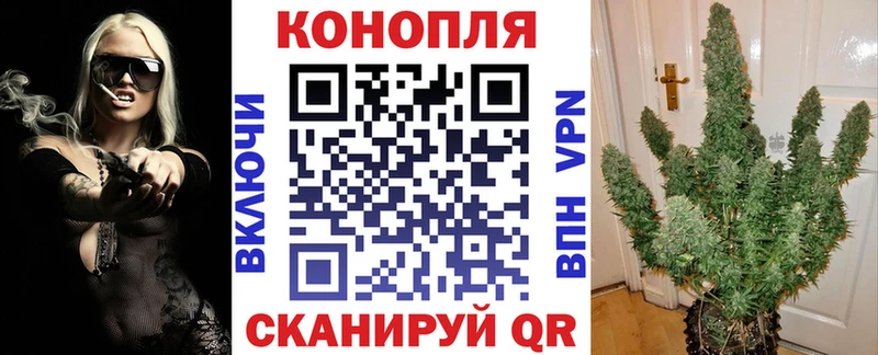 Каннабис план  Кубинка 